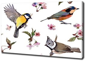 Tablou pe pânză canvas Bird flori de cires