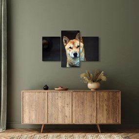 Tablou cu câine (90x60 cm)