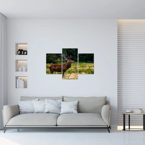Tablou cu cerb (90x60 cm)