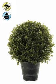 Plante de exterior - Boxwood ball UV - 42 cm