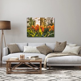 Tablou - florile lalelelor (70x50 cm)