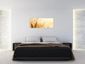 Tablou- detaliu cu (120x50 cm)