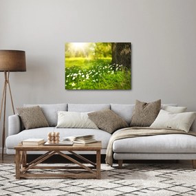 Tablou cu poiana și flori (70x50 cm)