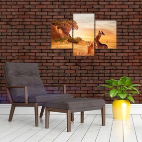 Tablou Girafe în Africa (90x60 cm)