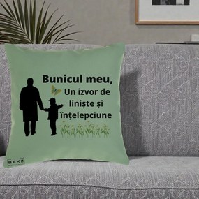 Cadou pentru Bunic - Perna Personalizata Bunicul Meu Izvor de Liniste cu Fluture si Baietel, 40x40 cm, Verde, Husa Detasabila, Perna Inclusa, BEKZ®