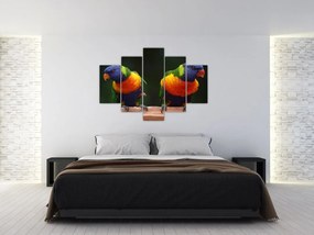 Tablou cu papagali (150x105 cm)
