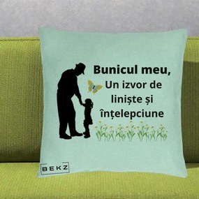 Cadou pentru Bunic - Perna Personalizata Bunicul Meu Izvor de Liniste cu Fluture si Fetita, 40x40 cm, Verde Menta, Husa Detasabila, Perna Inclusa, BEKZ®