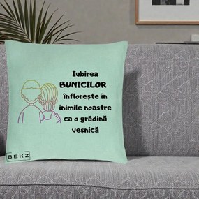 Cadou pentru Bunici - Perna Personalizata Iubirea Bunicilor Infloreste Cuplu Line Art Gradient, 40x40 cm, Verde Menta, Husa Detasabila, Perna Inclusa, BEKZ®