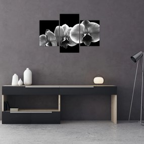 Tablou floare de orhidee (90x60 cm)