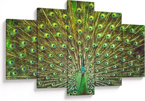 Tablou - Peacock (150x105 cm)