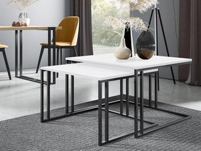 Set 2 măsuțe cafea Froyd (Negru + Alb arctic) . 1105865