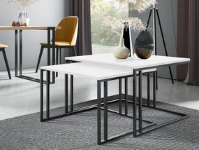 Set 2 măsuțe cafea Froyd (Negru + Alb arctic) . 1105865