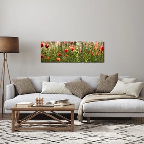Tablou cu maci (cu ceas) (90x30 cm)