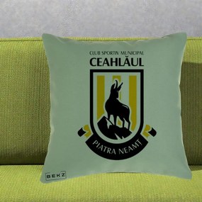 Perna Personalizata CSM Ceahlaul Piatra Neamt Fotbal, 40x40 cm, Verde, Husa Detasabila, Perna Inclusa, BEKZ®