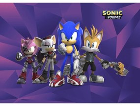 Fototapetă pentru copii Sonic 254 x 182 cm, 4părți