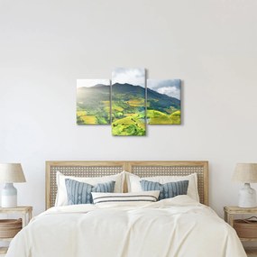 Tablou plantație (90x60 cm)