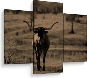 Tablou - Vacă din Texas (90x60 cm)