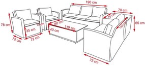 Set de canapele pentru grădină cu box pentru perne AUCKLAND gri