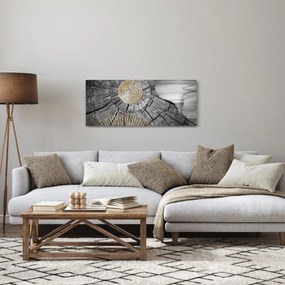 Tablou - Trunchiul copacului colaj (120x50 cm)