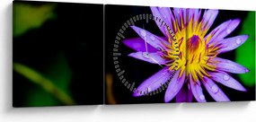 Tablou cu floare (cu ceas) (90x30 cm)