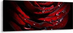 Tablou - Trandafir (120x50 cm)