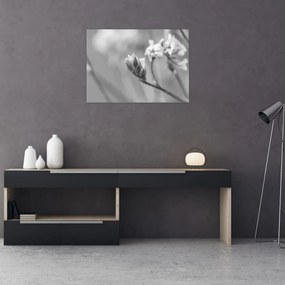 Tablou - Floare înflorită (70x50 cm)