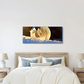 Tablou cu bulină înghețată (120x50 cm)