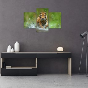 Tablou - Tigru care aleargă (90x60 cm)