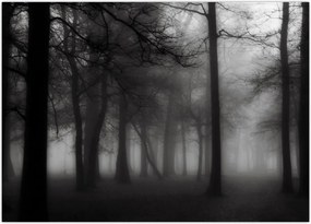 Tablou - Pădure în ceață (70x50 cm)