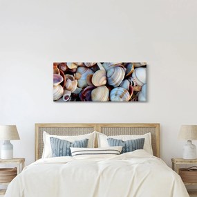 tablou cu scoici (120x50 cm)