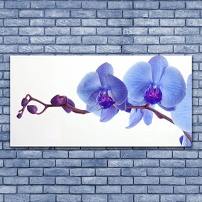 Tablou pe sticla Flori Floral Albastru Violet