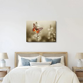 Tablou cu fluture (70x50 cm)