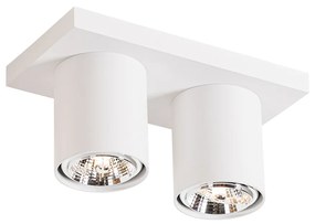 Plafonieră modernă cu spoturi albe cu 2 lumini - Tubo