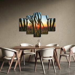 Tablou - Plante (150x105 cm)
