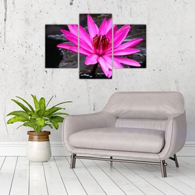 Tablou - floarea roz (90x60 cm)