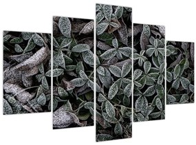 Tablou - Plante înghețate (150x105 cm)