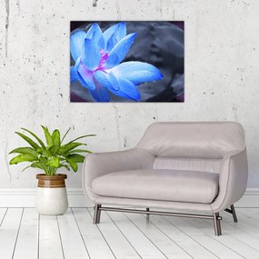 Tablou pe sticlă florilor în detailu (70x50 cm)