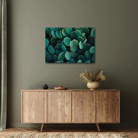 Tablou - Opuntia (70x50 cm)