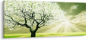 Tablou cu copaci pe luncă (120x50 cm)