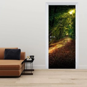 Fototapet pentru ușă - Drum forestier (95x205cm)