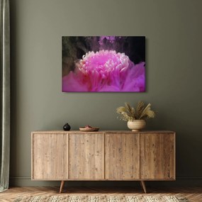 Tablou cu floare în fum roz (90x60 cm)