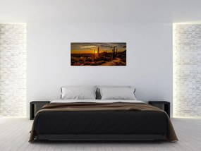 Tablou - Sfărșit de zi în deșertul Arizona (120x50 cm)