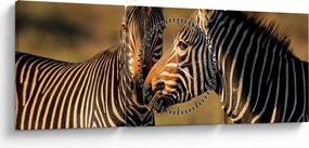 Tablou - Două zebre (cu ceas) (90x30 cm)