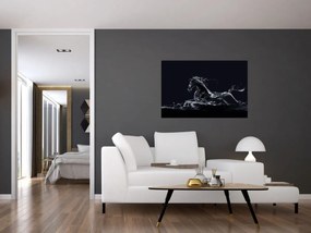 Tablou - Cal și apă (90x60 cm)