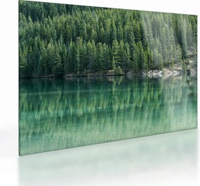 Tablou pe sticlă - Coniferi lângă lac (70x50 cm)