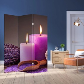 Paravan - Produsele spa (126x170 cm)