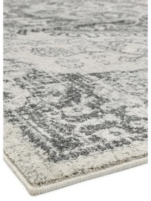 Covor gri/crem 160x230 cm Nova – Asiatic Carpets