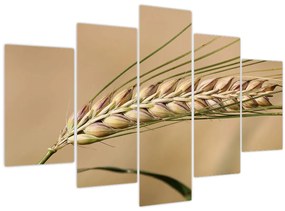 Tablou - Grâu (150x105 cm)