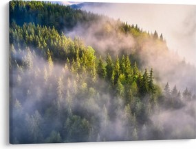 Tablou peisajului montan (70x50 cm)