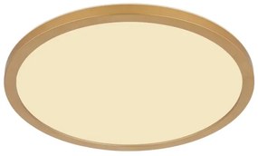 Plafonieră LED dimabilă pentru baie Globo 41562-24MM SAPANA LED/24W/230V IP44